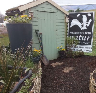 Rain Garden at the RHS Flower Show in Cardiff 2018